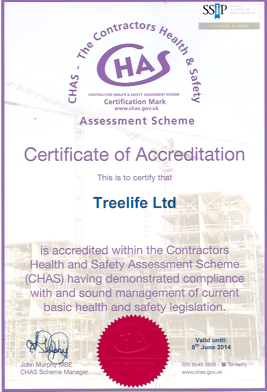 chas-certificate-2013.png