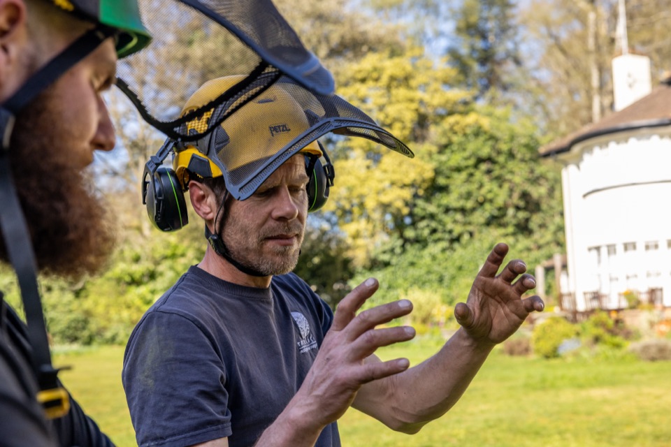 Treelife arborist discussing woodland care
