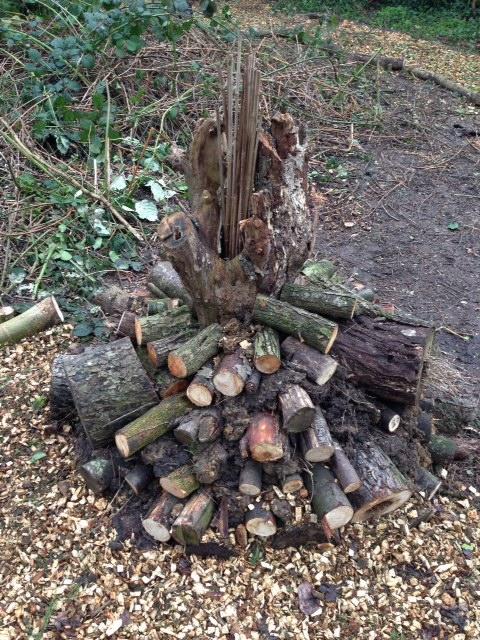 insect-tower-at-hobletts-school.jpg